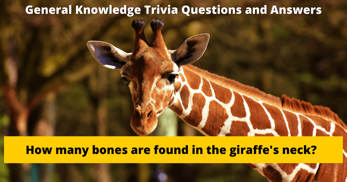 101 General Knowledge Trivia Questions and Answers Part 2 FunSided