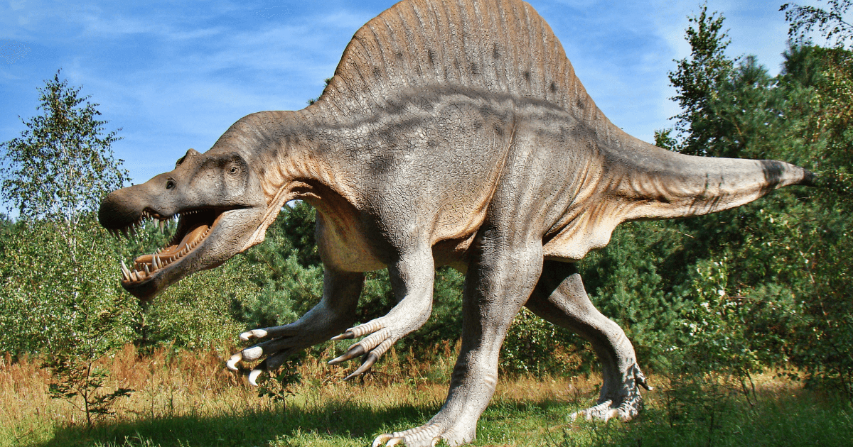 60 Fun and Interesting Dinosaur Facts FunSided