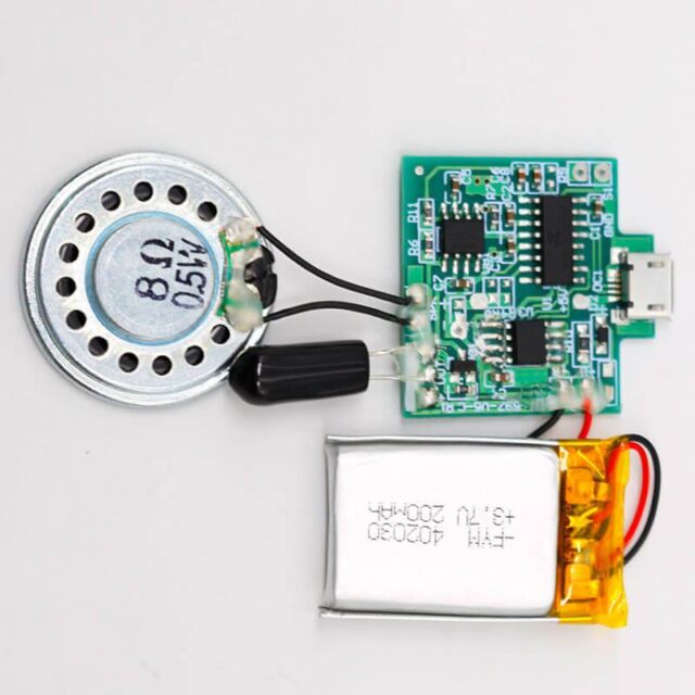 DIY USB Recordable Voice Chip Sound Module For Custom Gifts Funsuper