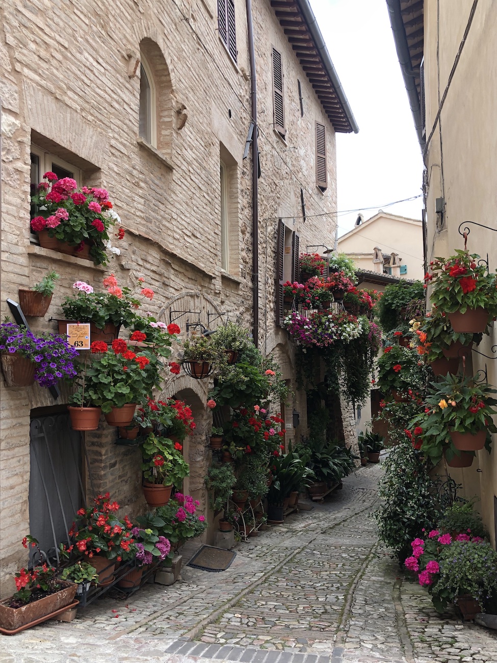 Spello, la città dei fiori diventa ancora più bella in estate ecco il