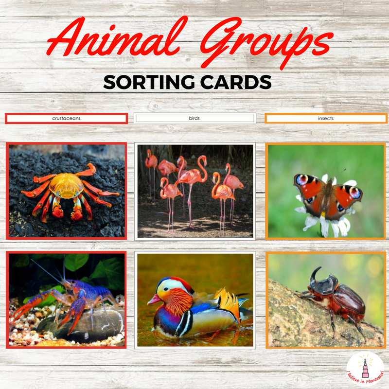 Printable Back to School Preschool Mega Bundle Fun with Mama