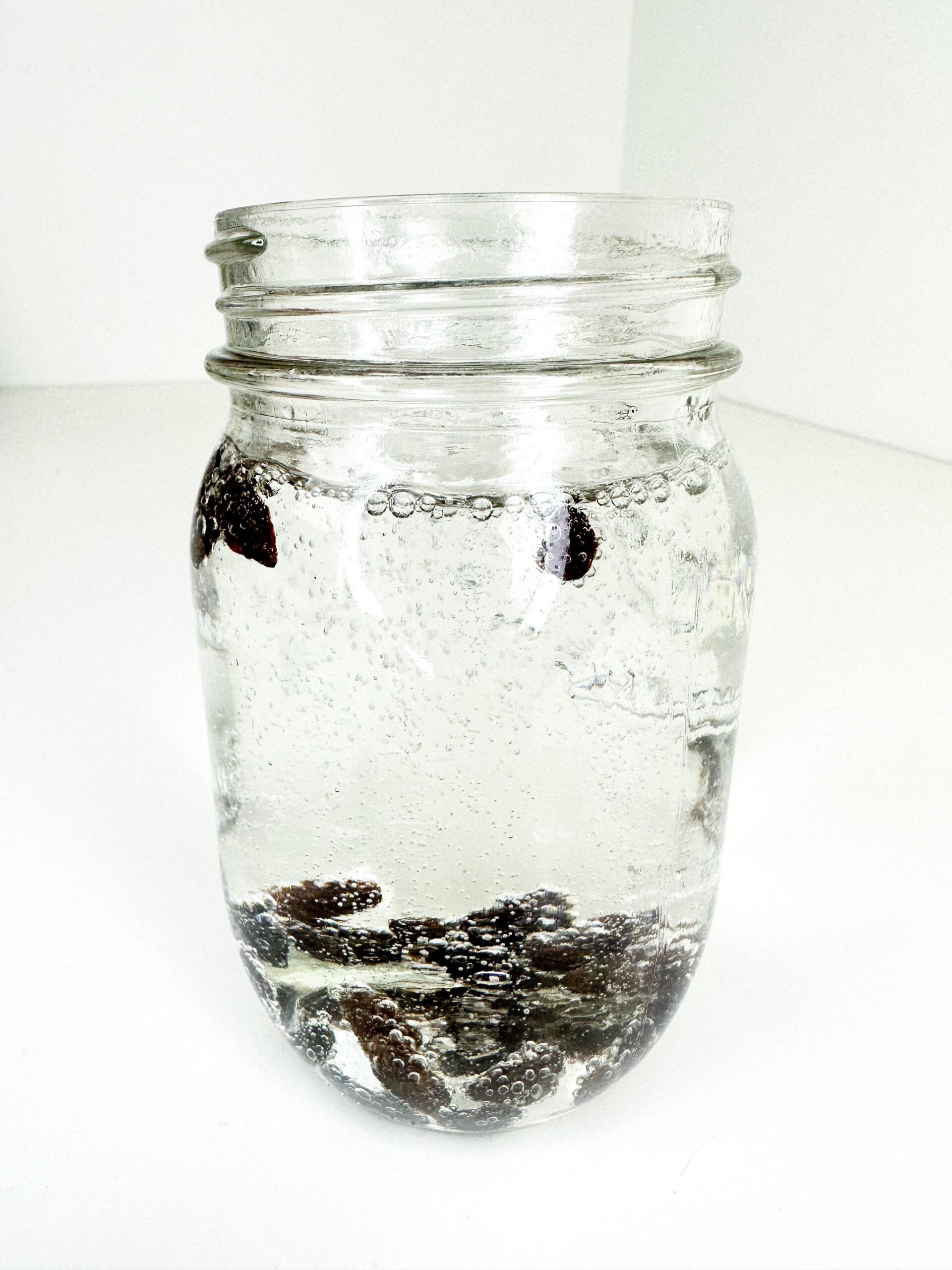 Dancing Raisins Experiment Fun Science for Kids! + PRINTABLE