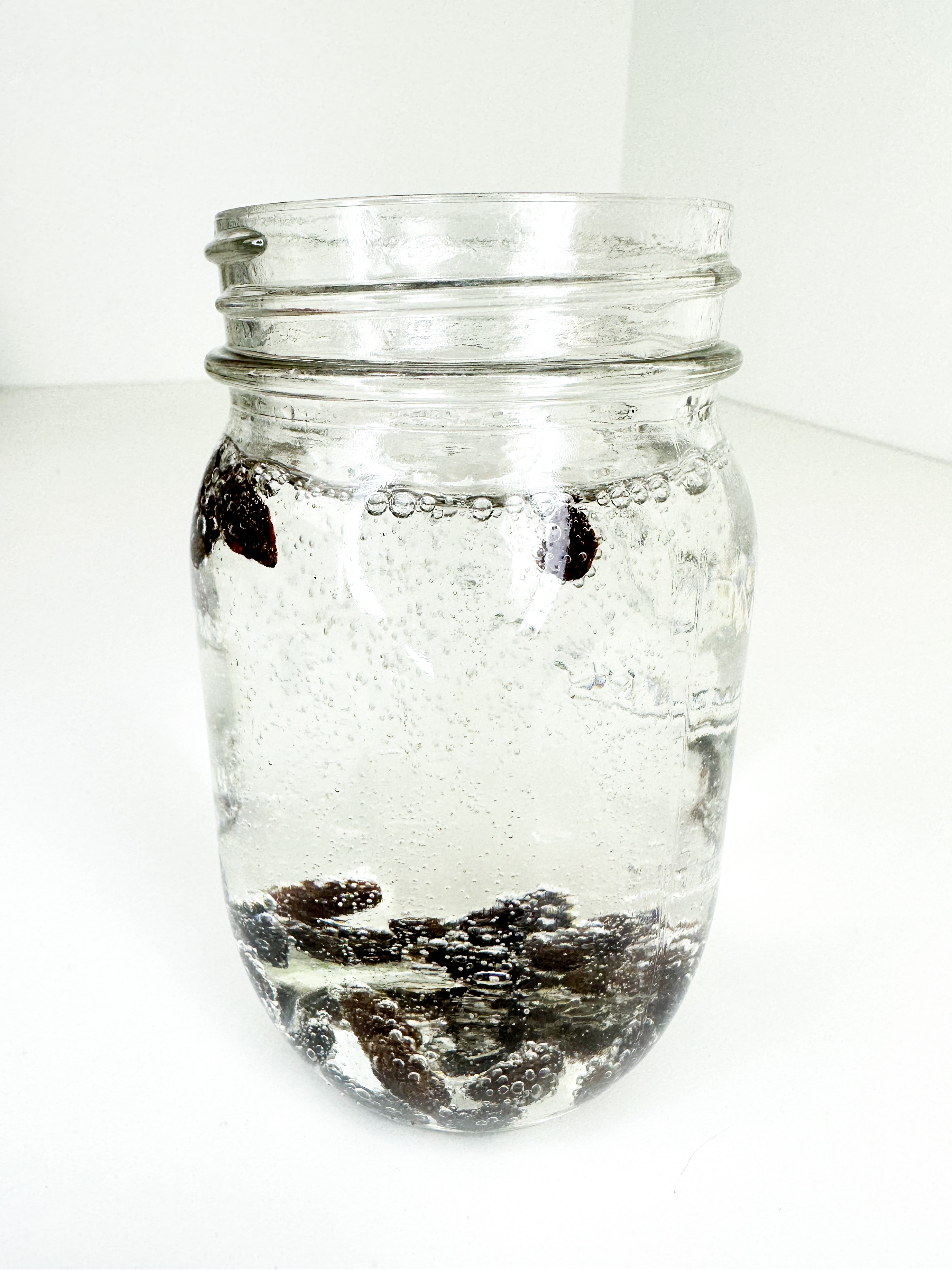 Dancing Raisins Experiment Fun Science for Kids! + PRINTABLE