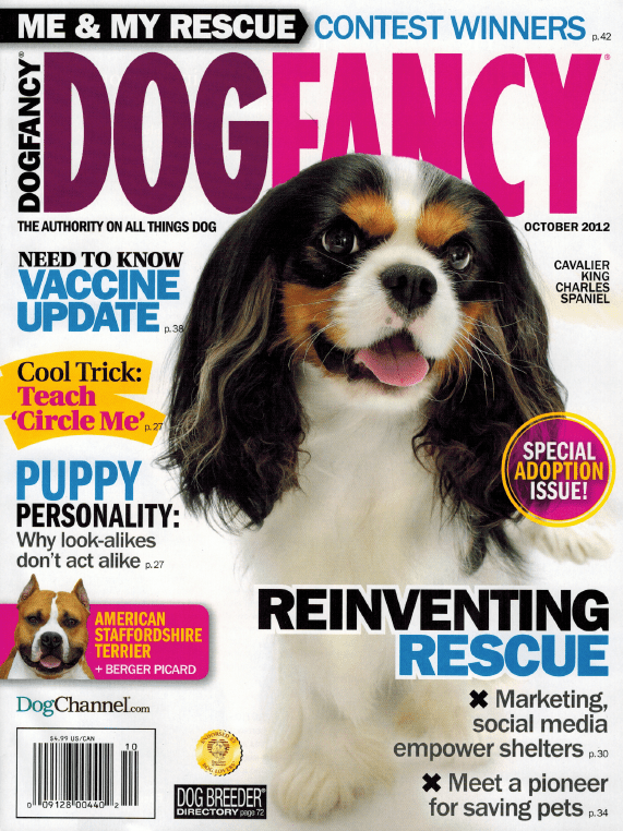 Dog Training News from FurGet Me Not