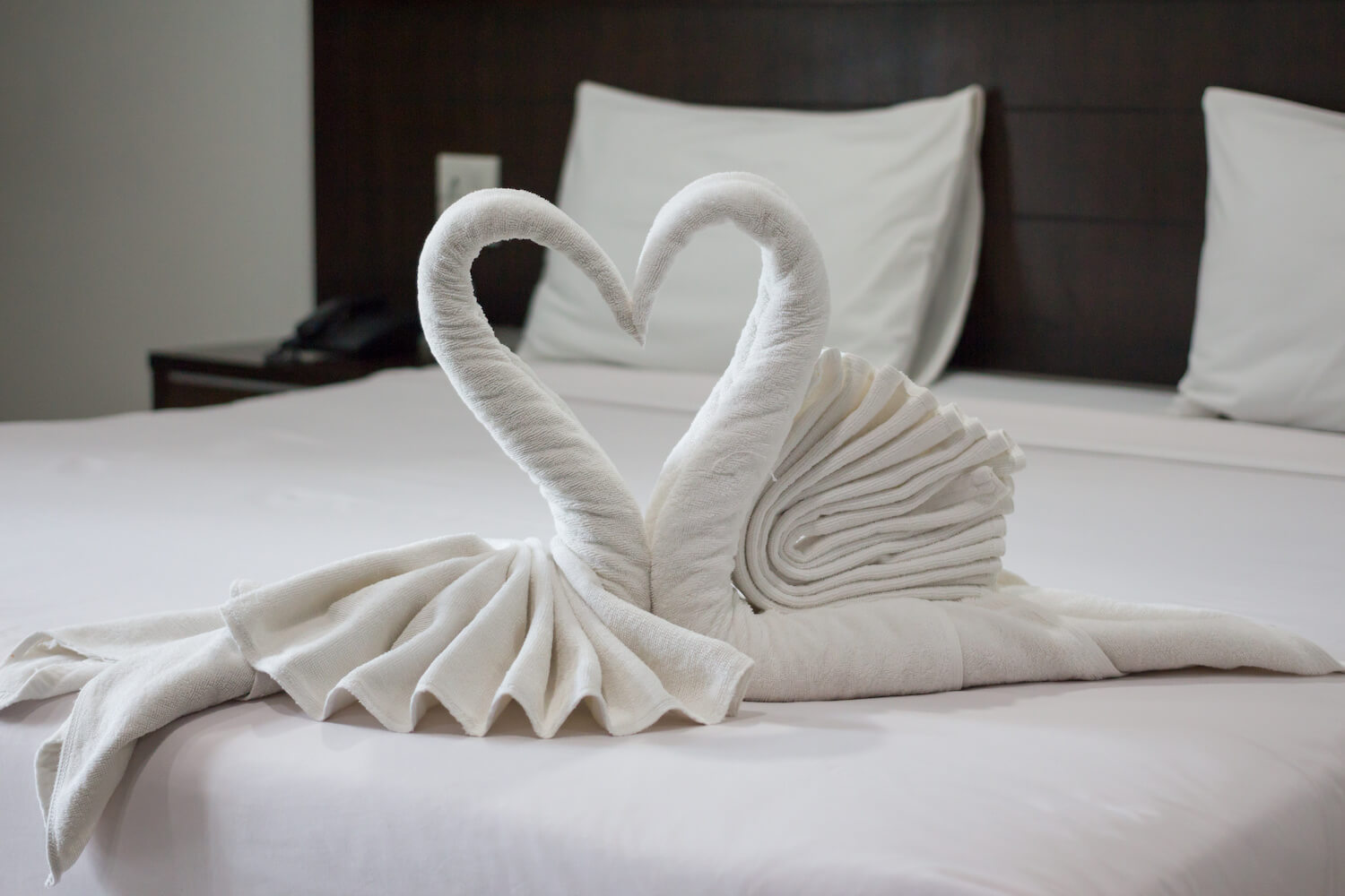 How to make a towel swan for your bed Furl Blog