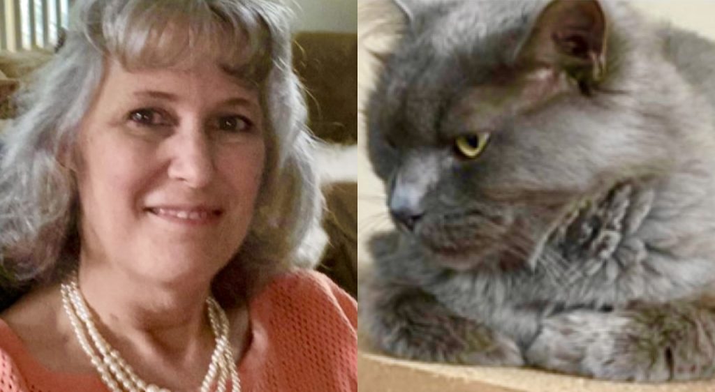 Meet The Team Pet Sitting, Cat Sitting by Furry Fellas Pet Service LLC