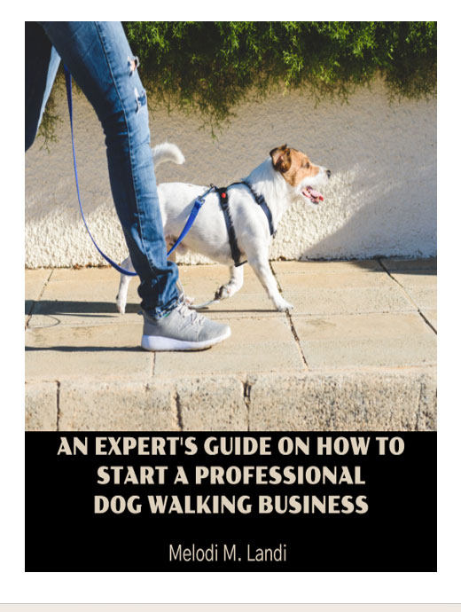 An Expert's Guide on How to Start Profitable Dog Walking Business