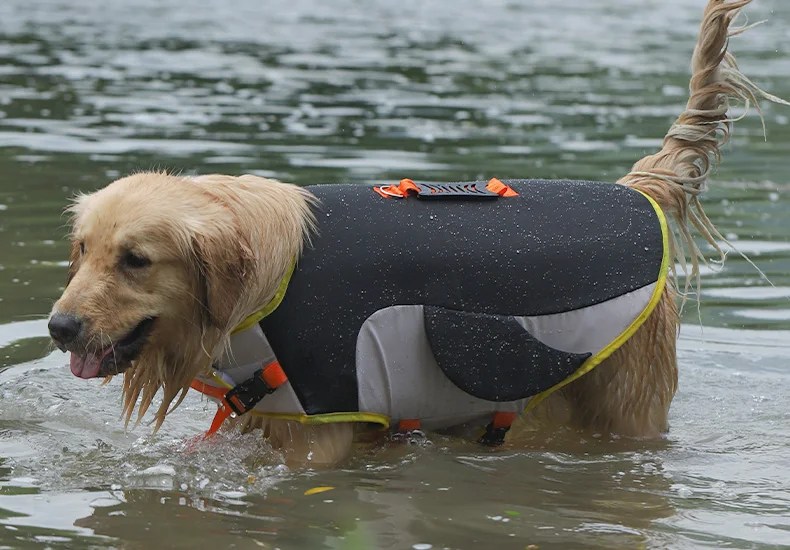 UV Protection Dog Rash Water Safety Vest