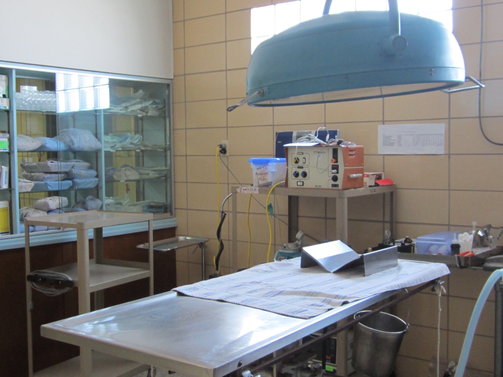 Associate Veterinarian Valparaiso Animal Hospital, Indiana • FurWork