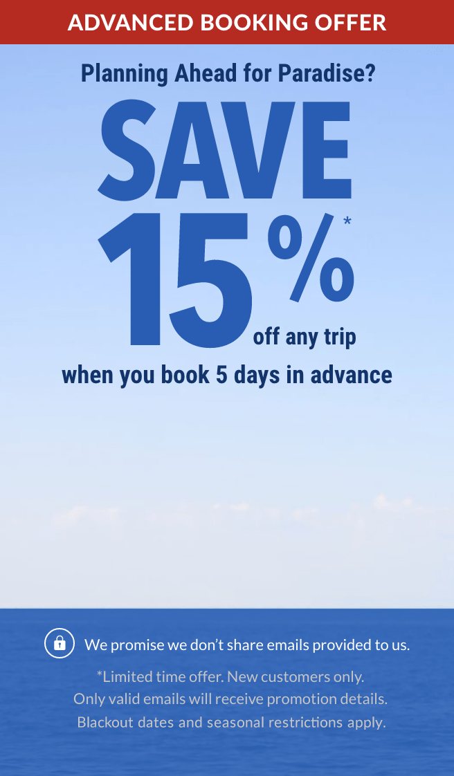 Key West Golf Cart Rentals Key West Electric Car Rentals