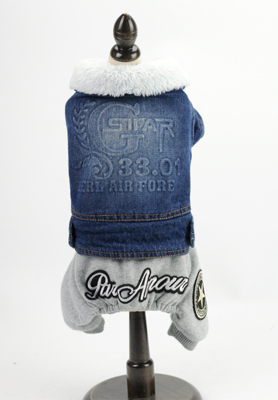 News Pet Clothing Business