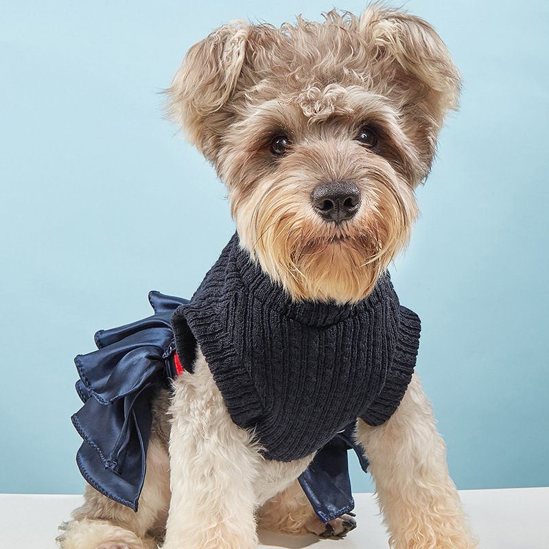 News Pet Clothing Business