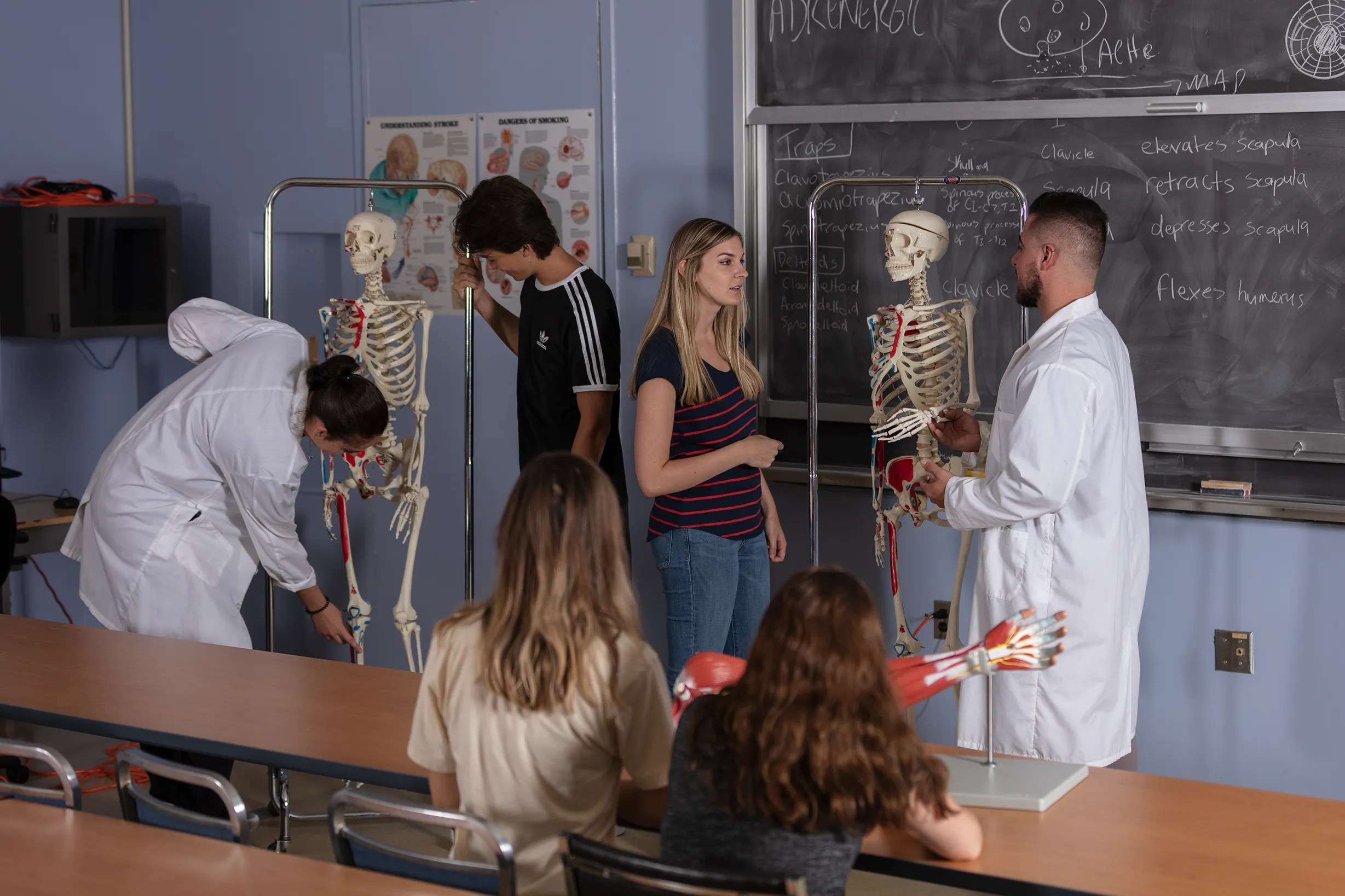 Human University of Windsor