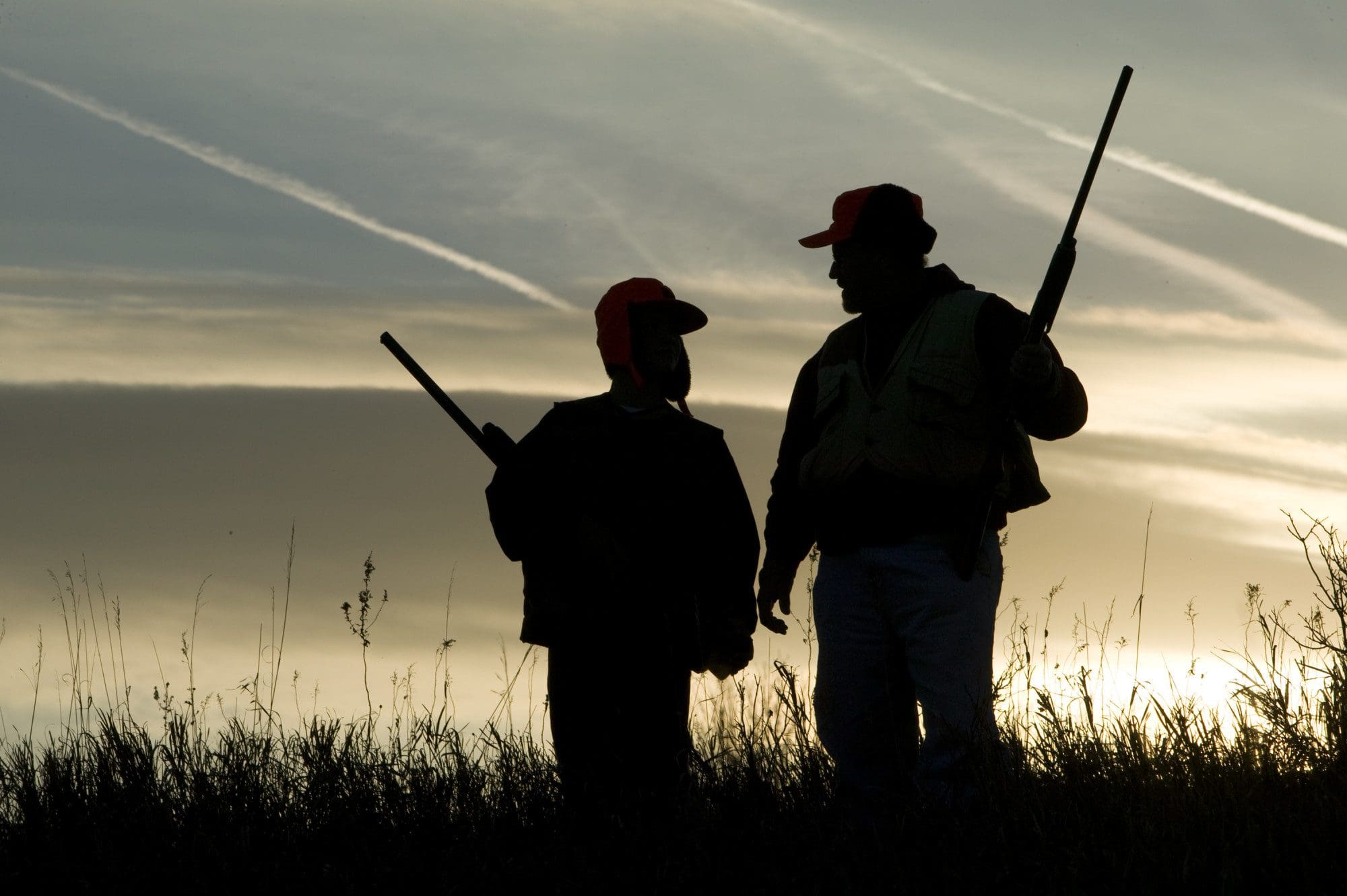 What You Should Know Before Buying Hunting Land in Western New York