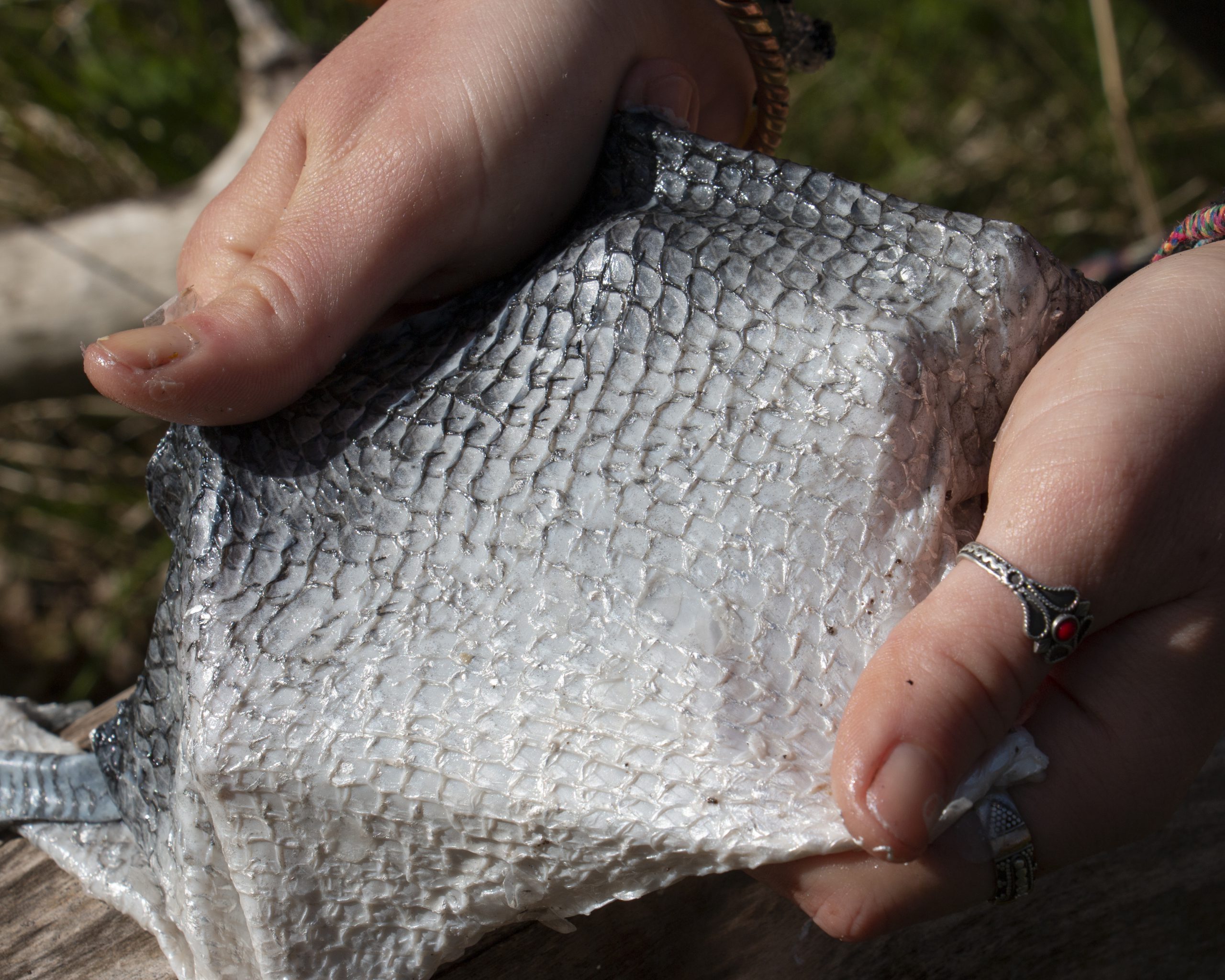 fish leather Withwater diy fish leather ISBAGUS