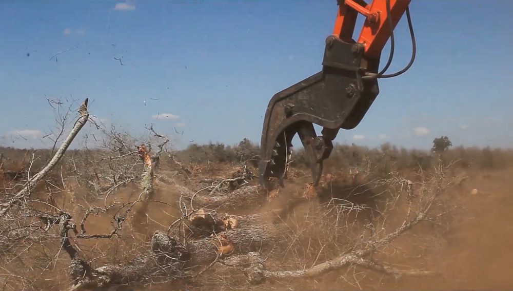 Olive woodchip (Gallery) Future Materials Bank