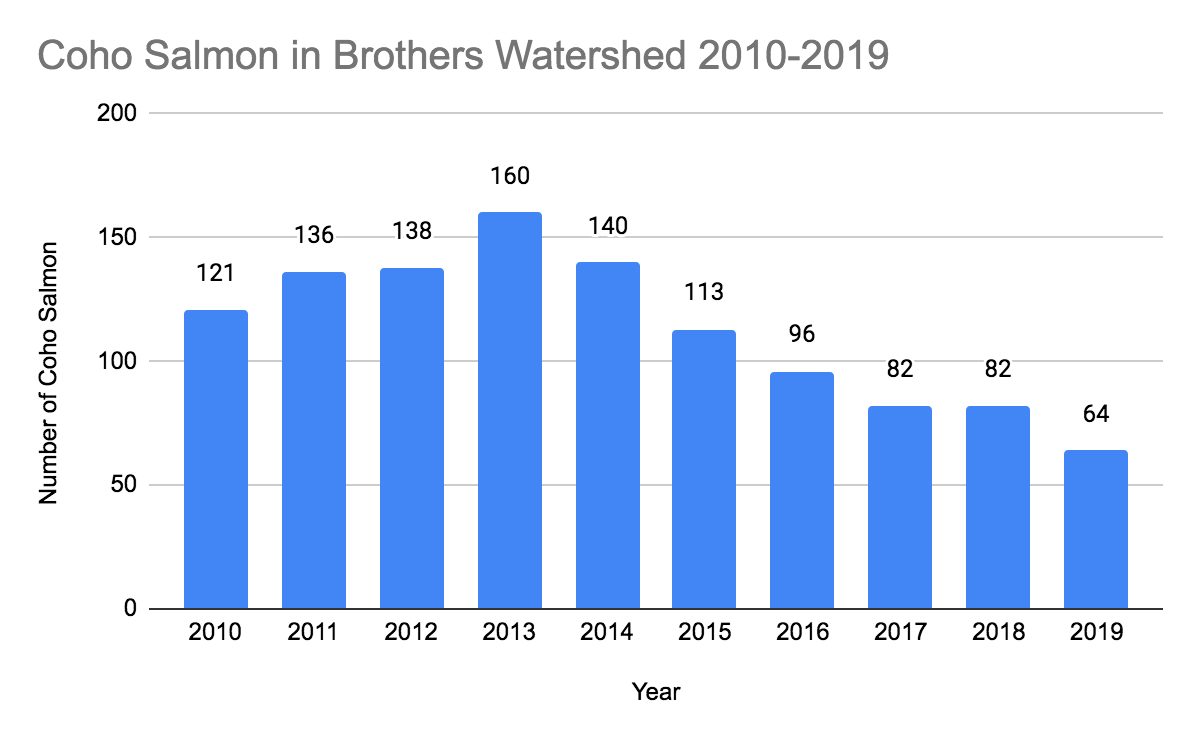 The Decrease In Salmon Species Between the Years 20102019 in the
