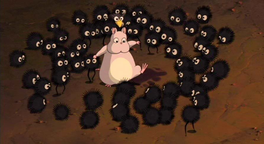 Guinea Pig Soot Sprite Fuzzy Today
