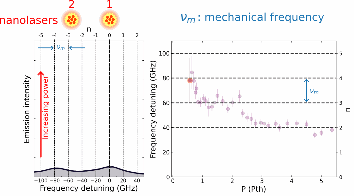 Forschungsverbund Berlin e.V. News