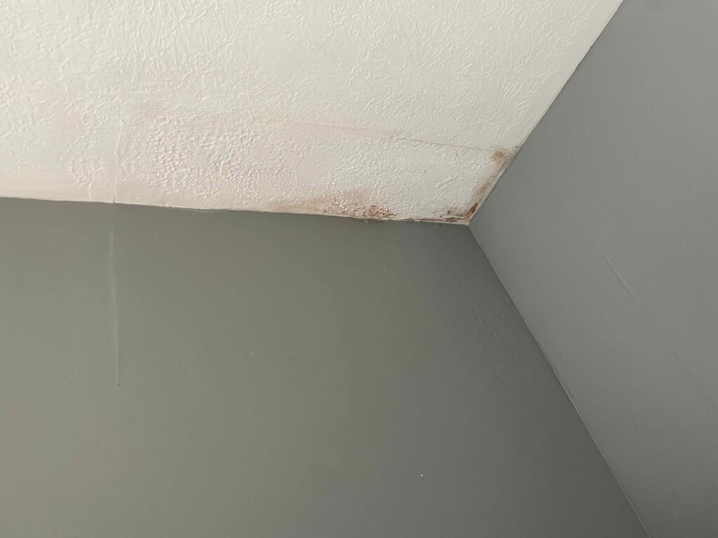 Defend Your Space Prevent Toxic Mold Cross Contamination FWDfuel