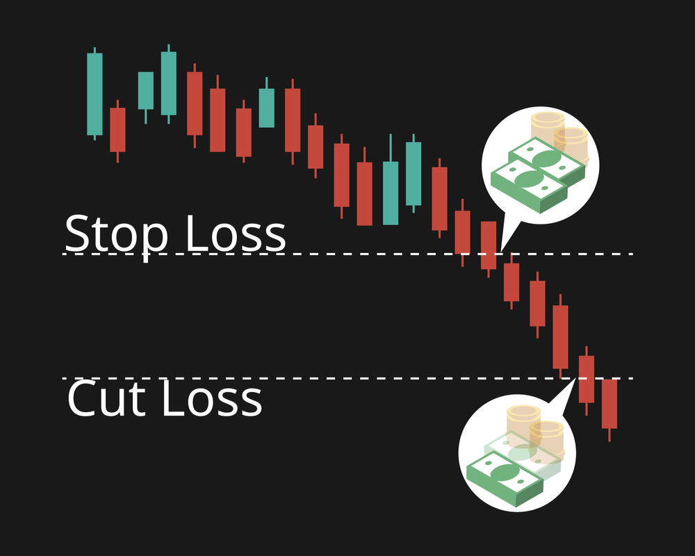 A Step by Step Guide on How to set Stop Loss and take Profit in Forex