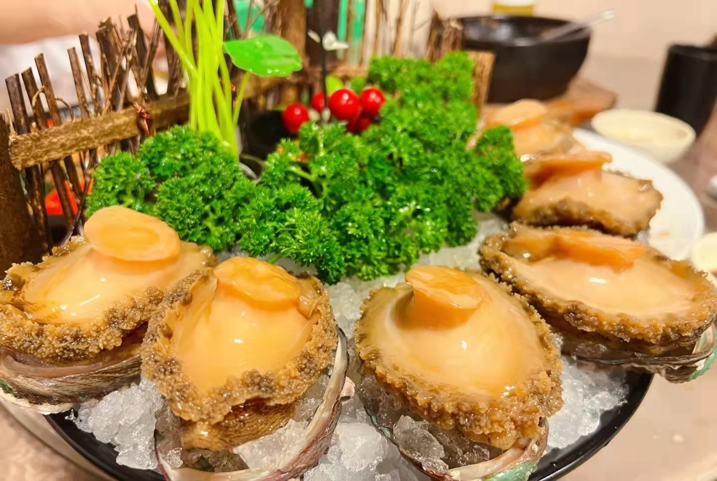 Wholesale FROZEN COOKED MARINATED ABALONE with shell, remove viscera