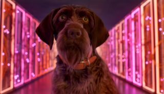 Stadia game developers had no idea Google was killing Stadia Gaming