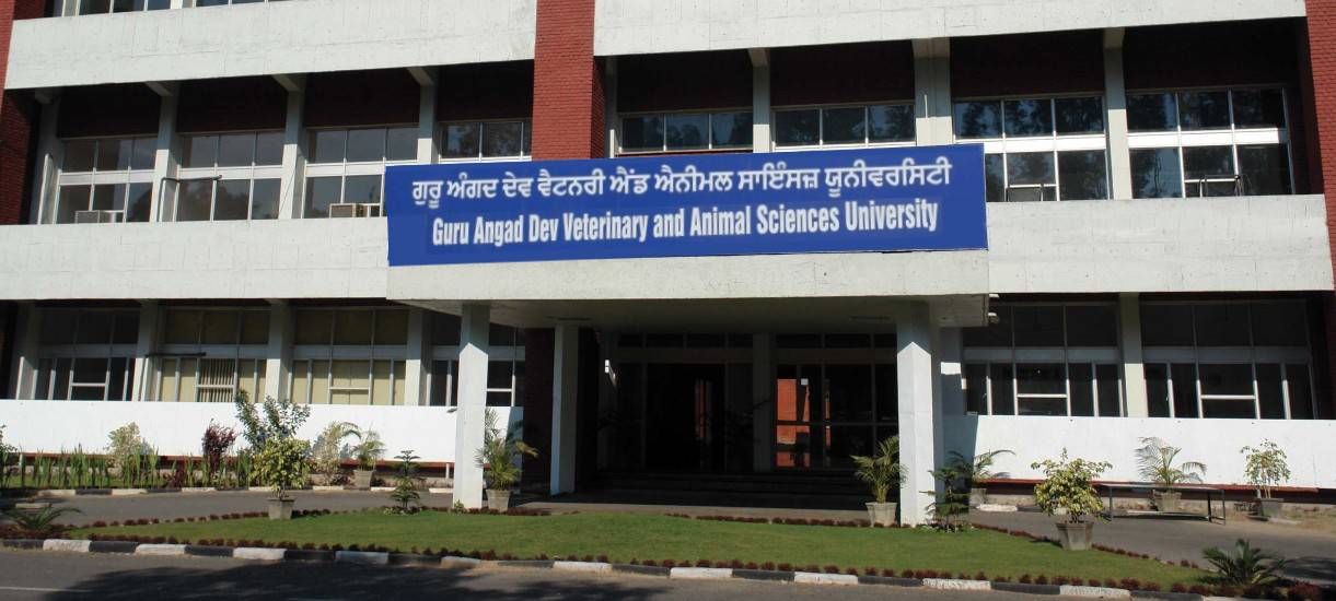 GADVASU Guru Angad Dev Veterinary And Animal Sciences University