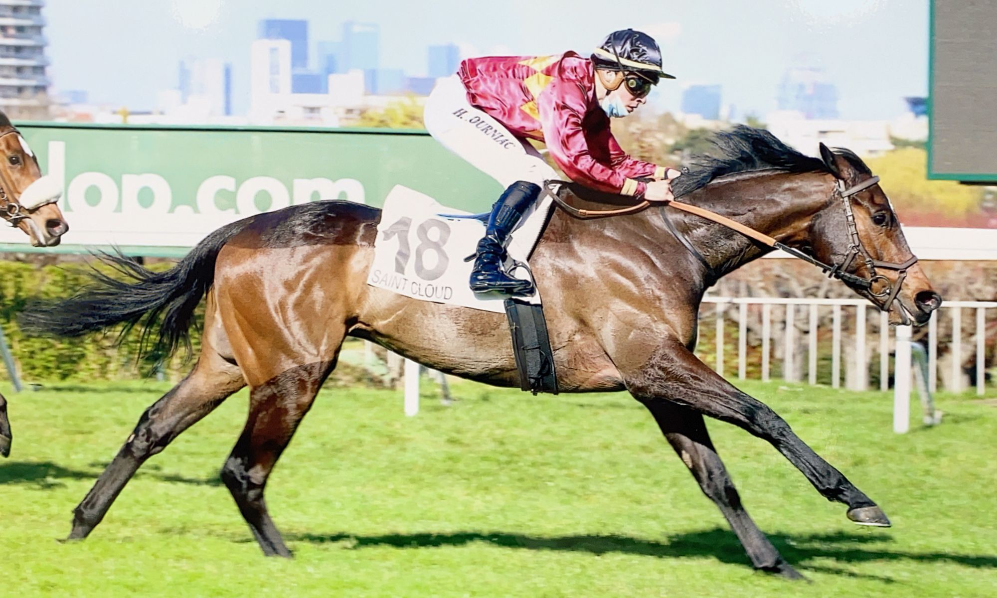 Gallop campestre.al.gov.br