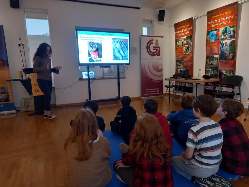Museum Visit Galway Primary School