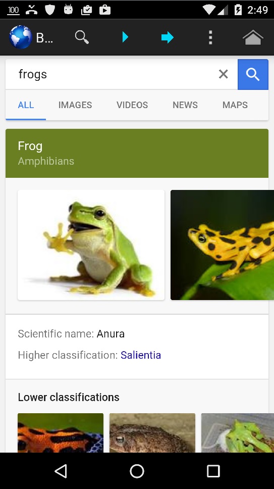 GamBlock® How does the GamBlock® Mobile Browser back button work?