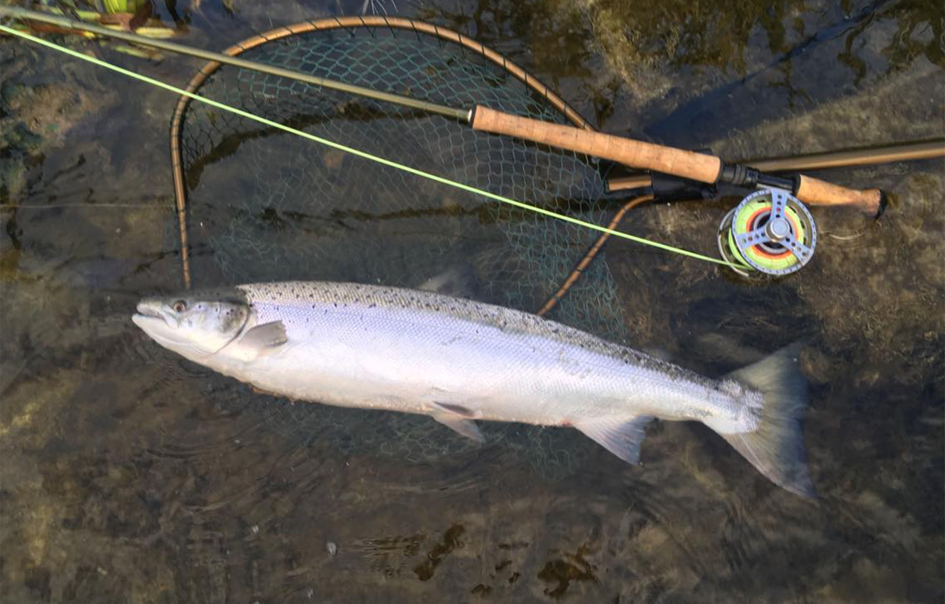 Fly Fishing Lessons and Instructor Certification