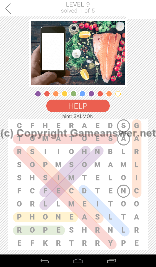 10x10 Word Search Level 9 Answers and Hints Game Answer