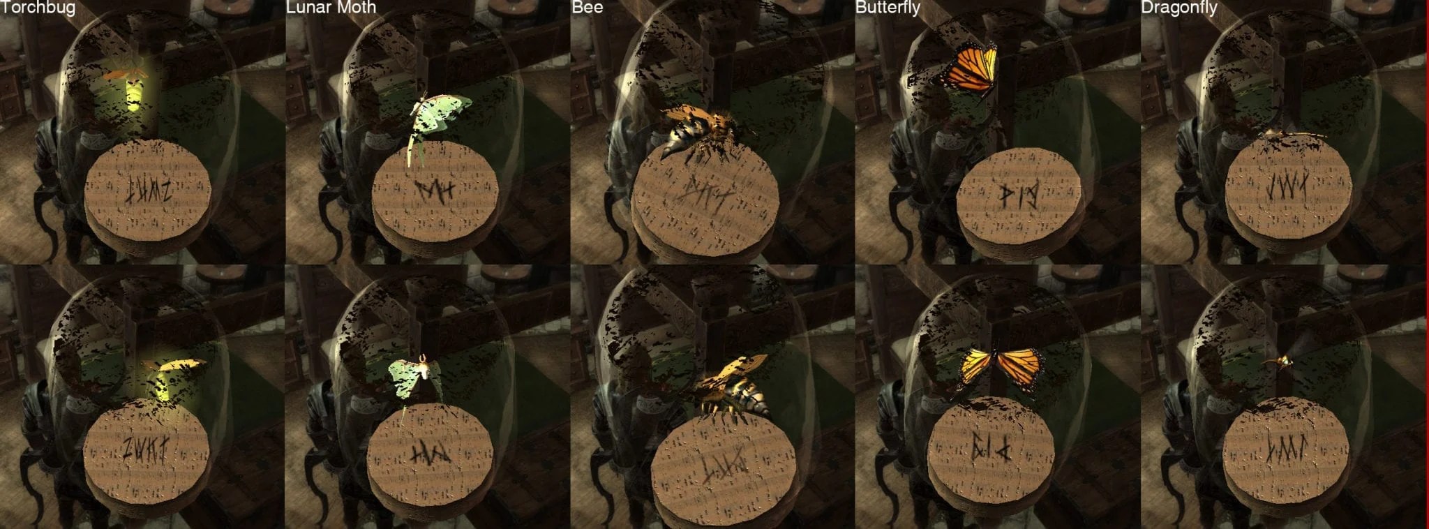 Skyrim Bug Jars Mystery Solved Here’s What They Mean