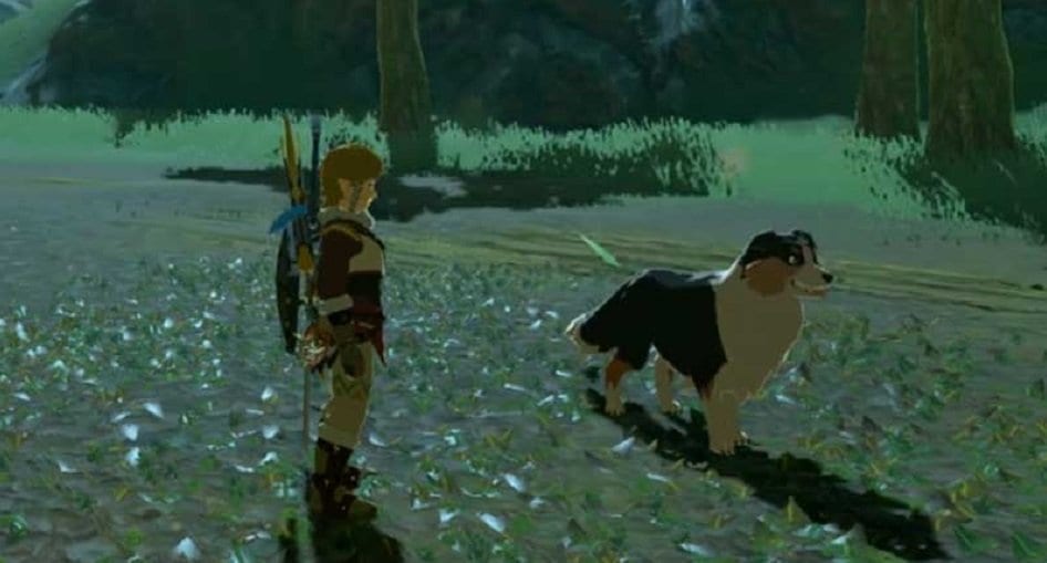 What Happens When You Befriend A Dog In Botw