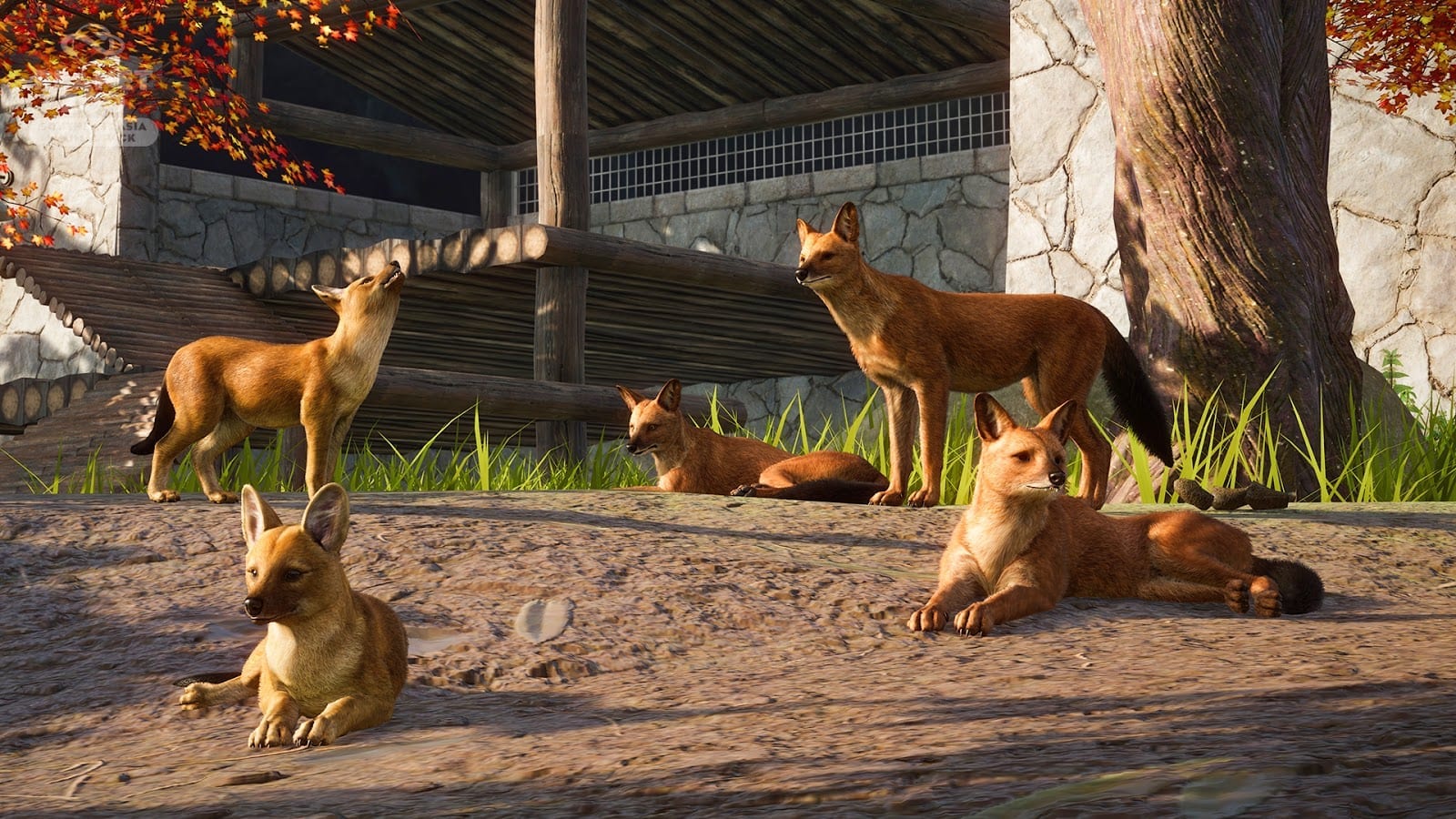 Zoo’s Southeast Asia Animal Pack Introduces New Creatures Great