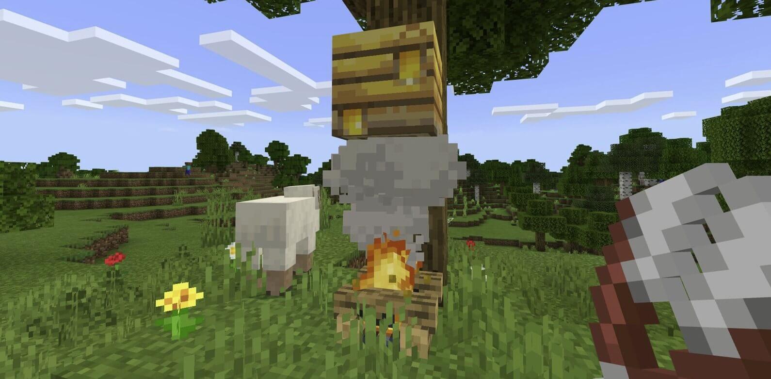How to Get Honey from a Beehive in Minecraft? GameCMD