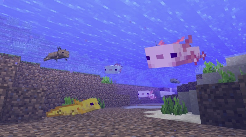 How to tame Axolotls in Minecraft the complete guide GameCMD