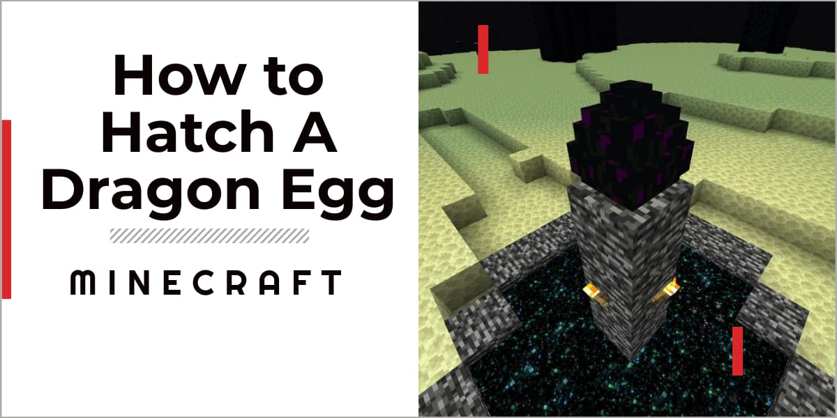 How To Hatch A Dragon Egg In Minecraft 2023 Guide] GameGrinds