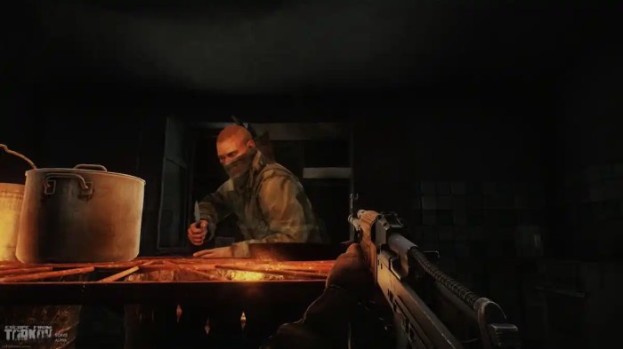 Escape from tarkov launcher download