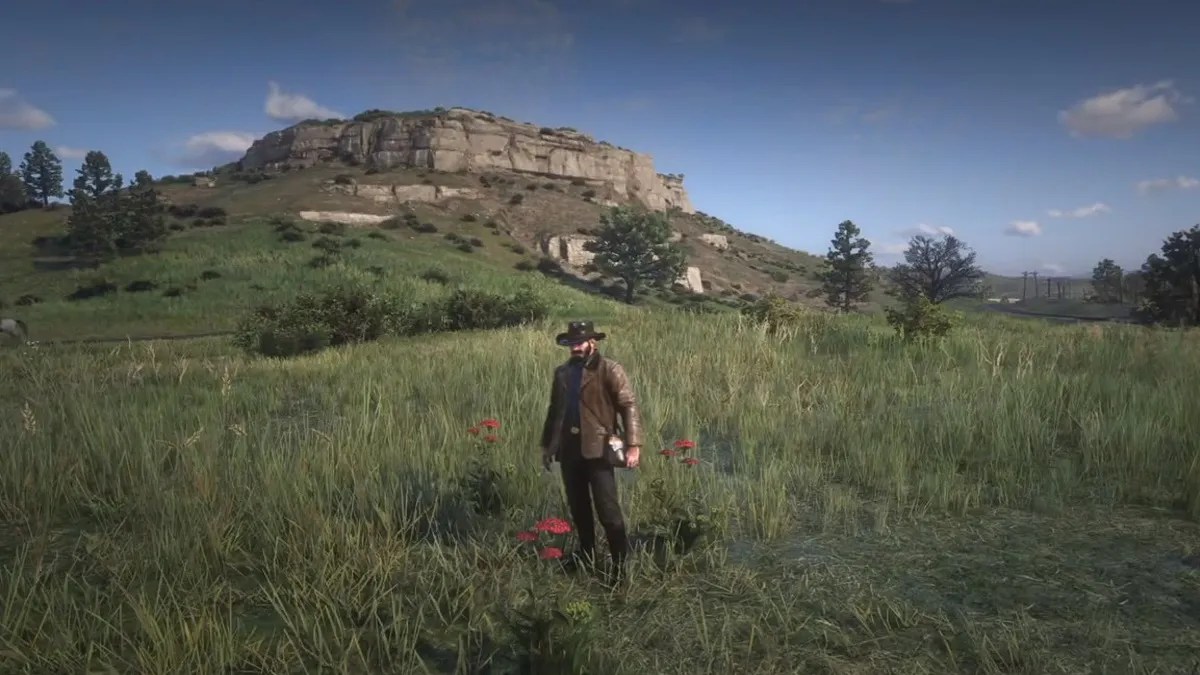 Red Dead Redemption 2 Yarrow Location in RDR2 Gamepur