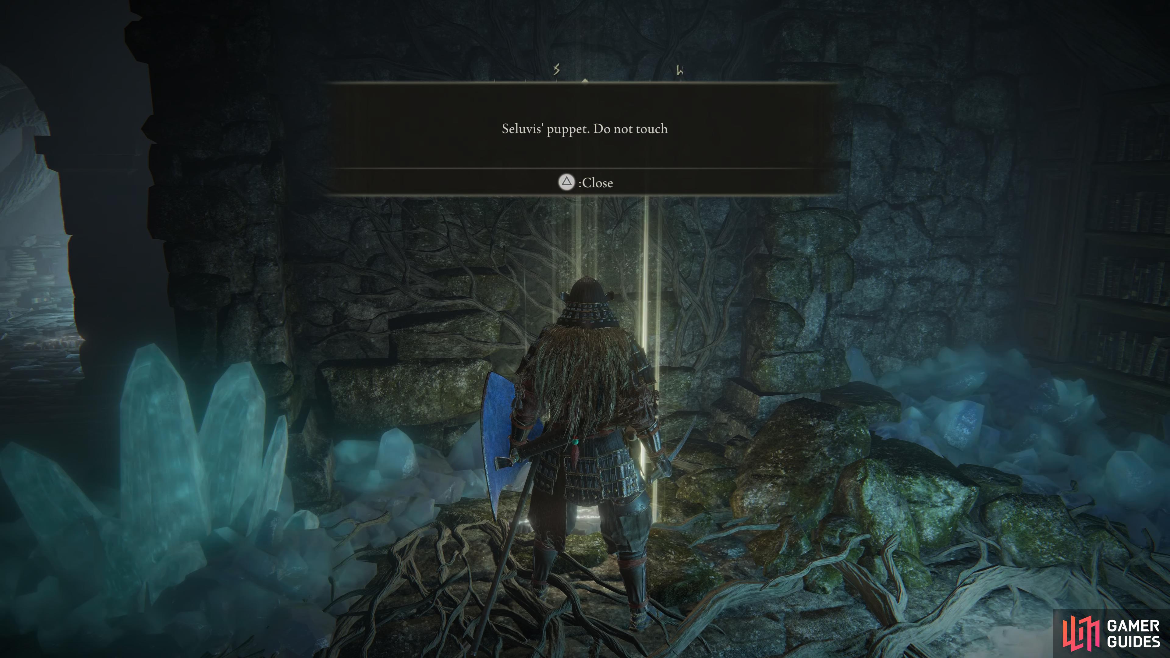 How to Find Seluvis and Complete His Quest Preceptor Seluvis NPCs