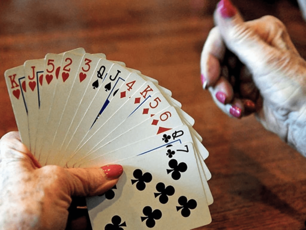 Win Every Indian Rummy Game by Knowing These Tips & Tricks Gameroids