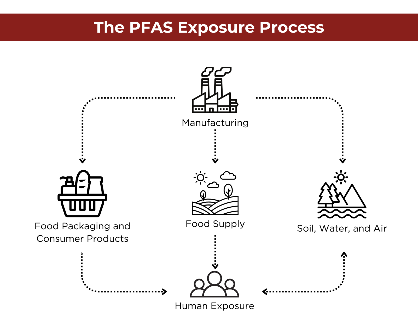 What Are PFAS Chemicals and How Do They Impact Your Packaging? Gamer