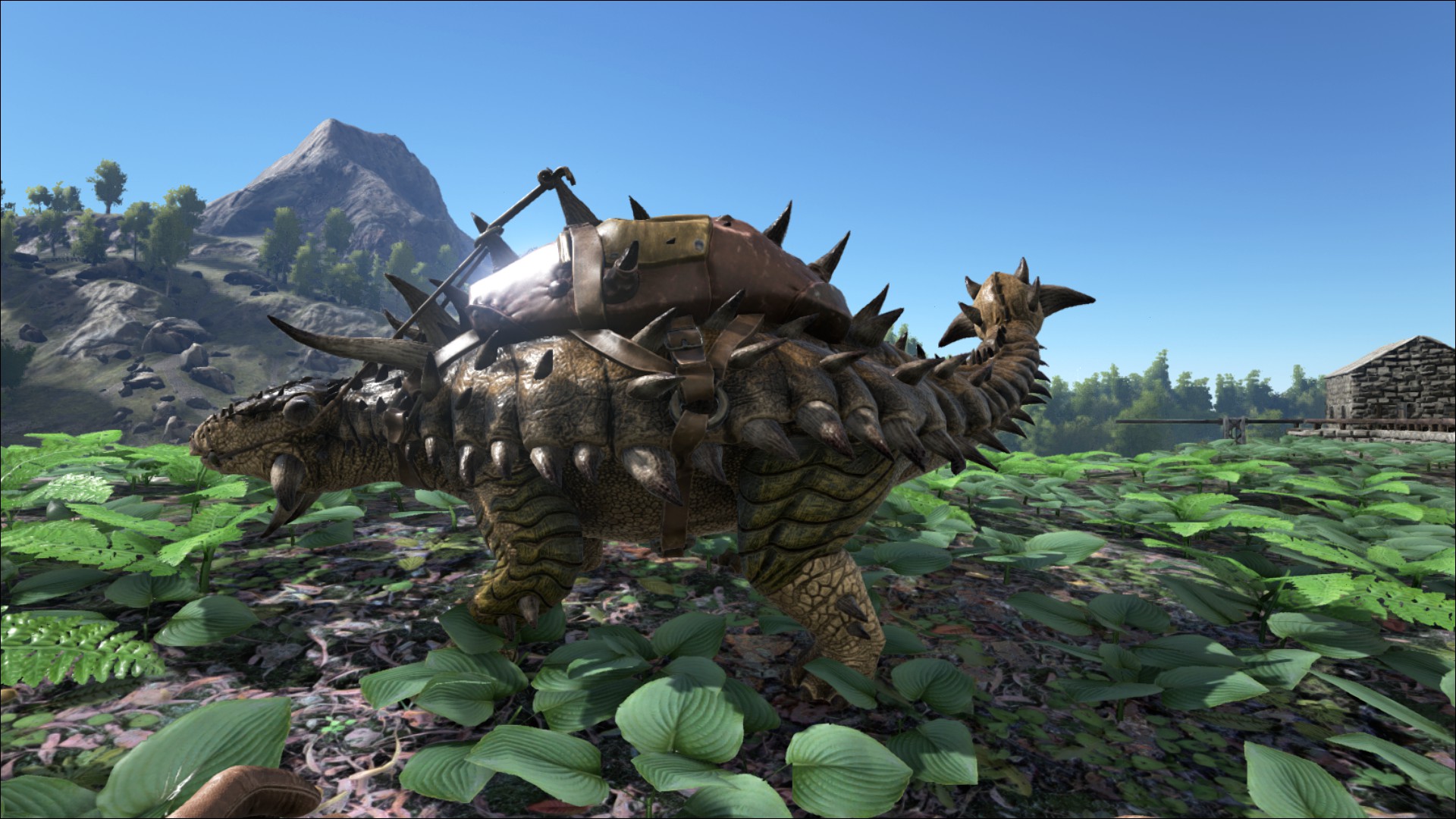 [Top 5] Ark Survival Evolved Best Dinos For Flint Gamers Decide