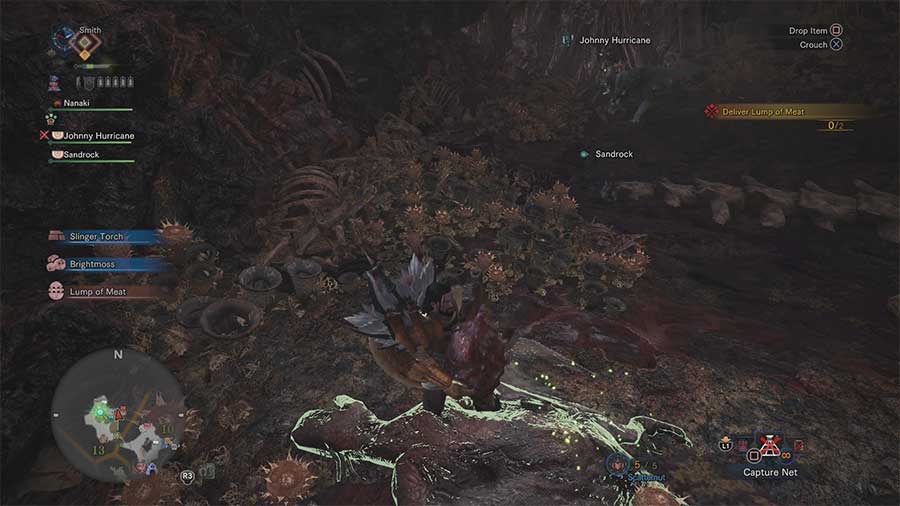 Where To Find Lump Of Meat In Rotten Vale Monster Hunter World