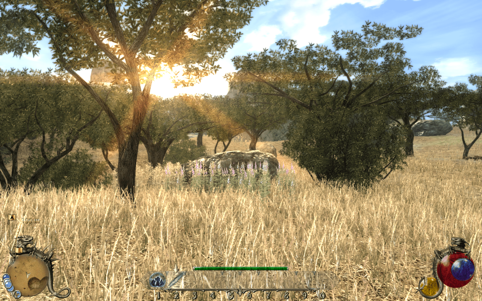 Two Worlds II Guide GamersOnLinux