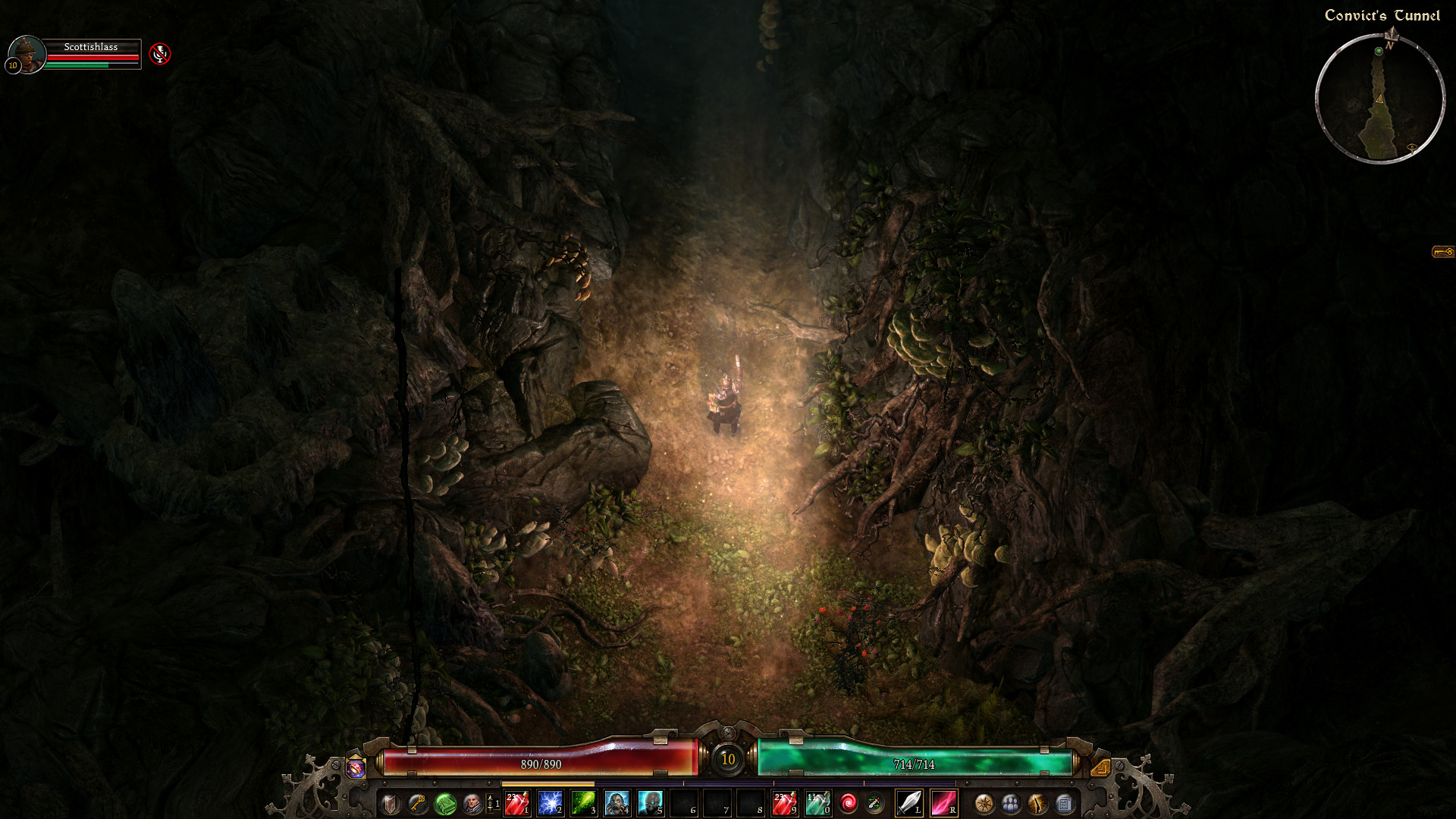 Grim Dawn in PlayOnLinux GamersOnLinux