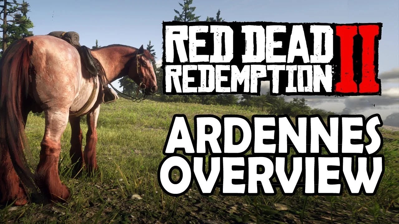 Ardennes Horse RDR2 Stats & Coat Styles Gamerz Gateway