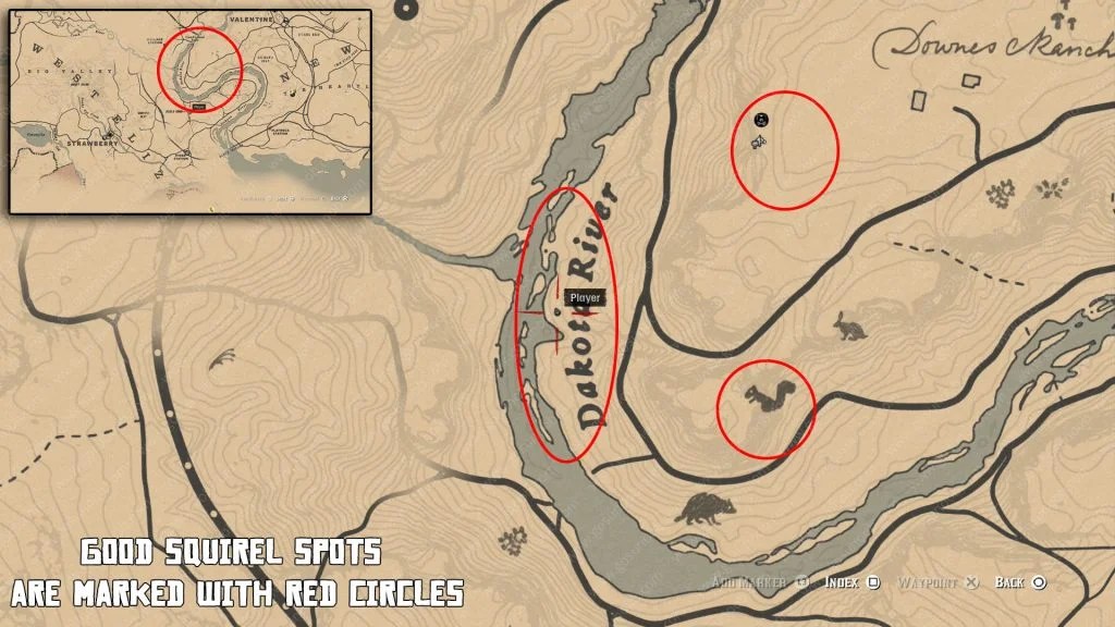 Where is Squirrel Statue RDR2 All Locations StepbyStep Guide